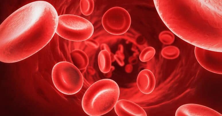 blood test fertility