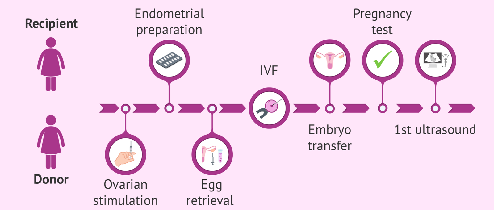 Egg donation process step by step Egg donation process step by step