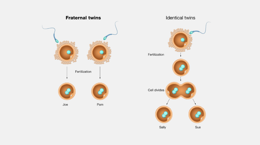 ivf treatment for pregnancy