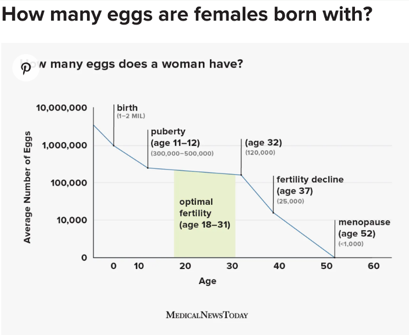 egg freezing procedure