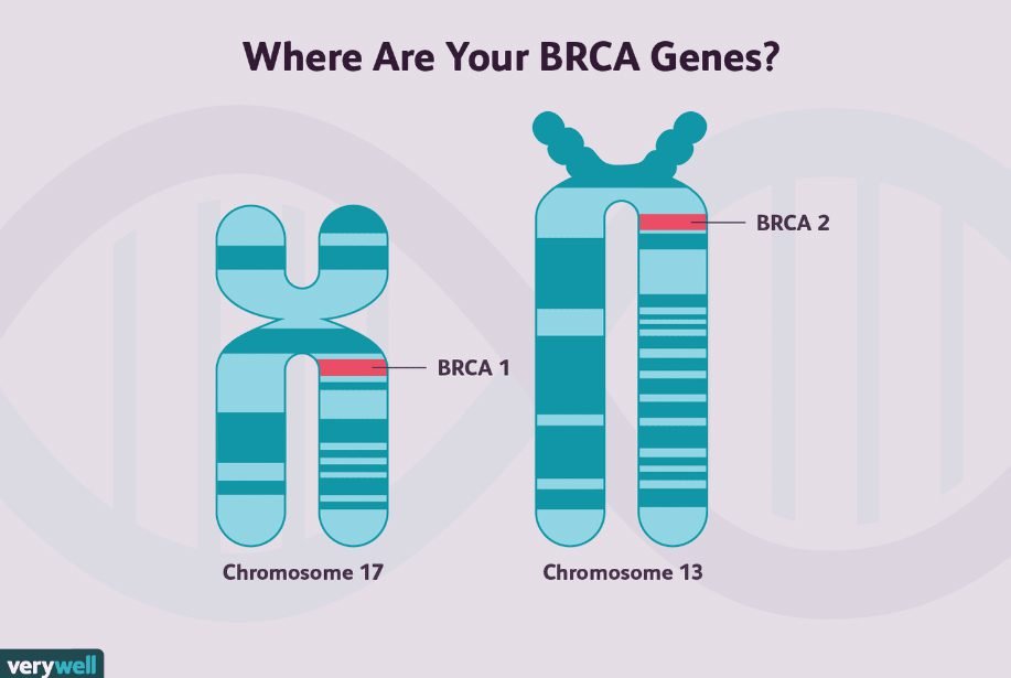 cancer genetic counseling