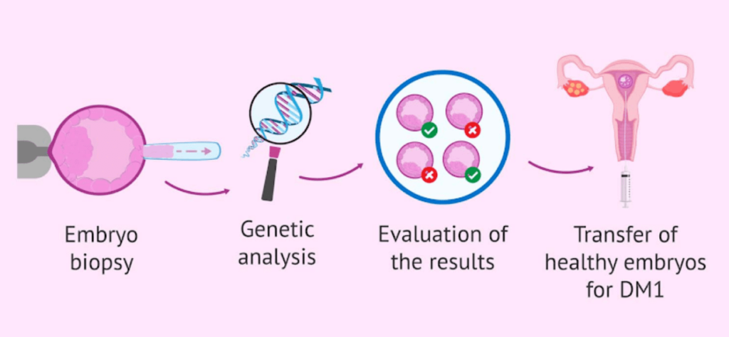 Embryo Biopsy
