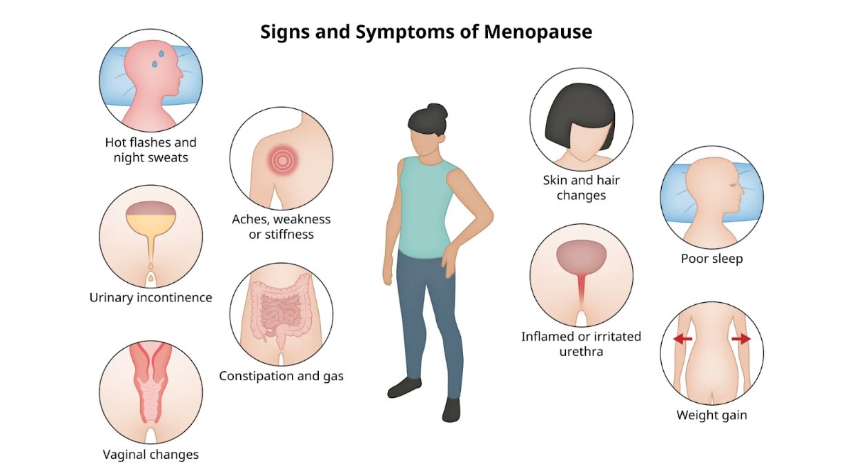 treatment for menopause symptoms