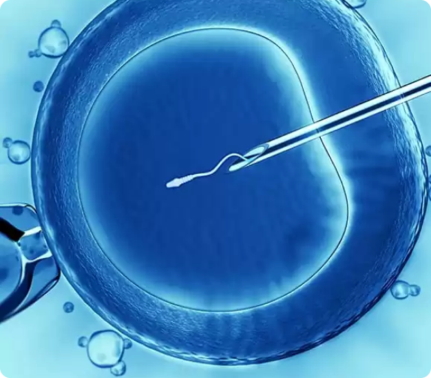 12 Months Fellowship in Reproductive Medicine