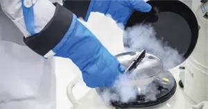 I want to freeze my gametes (Egg/Sperm/Embryo)