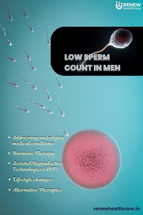 low sperm count treatments for men