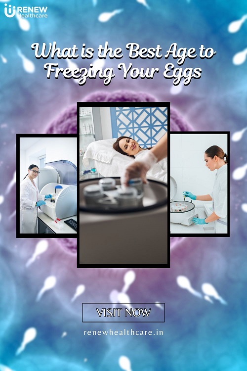 Best Age to Freeze Your Egg