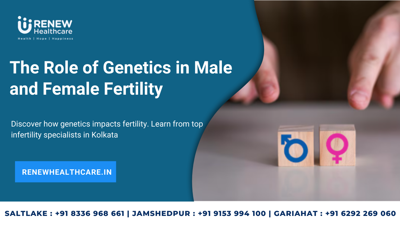The Role of Genetics in Male and Female Fertility