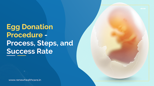 How Is Egg Donation Done