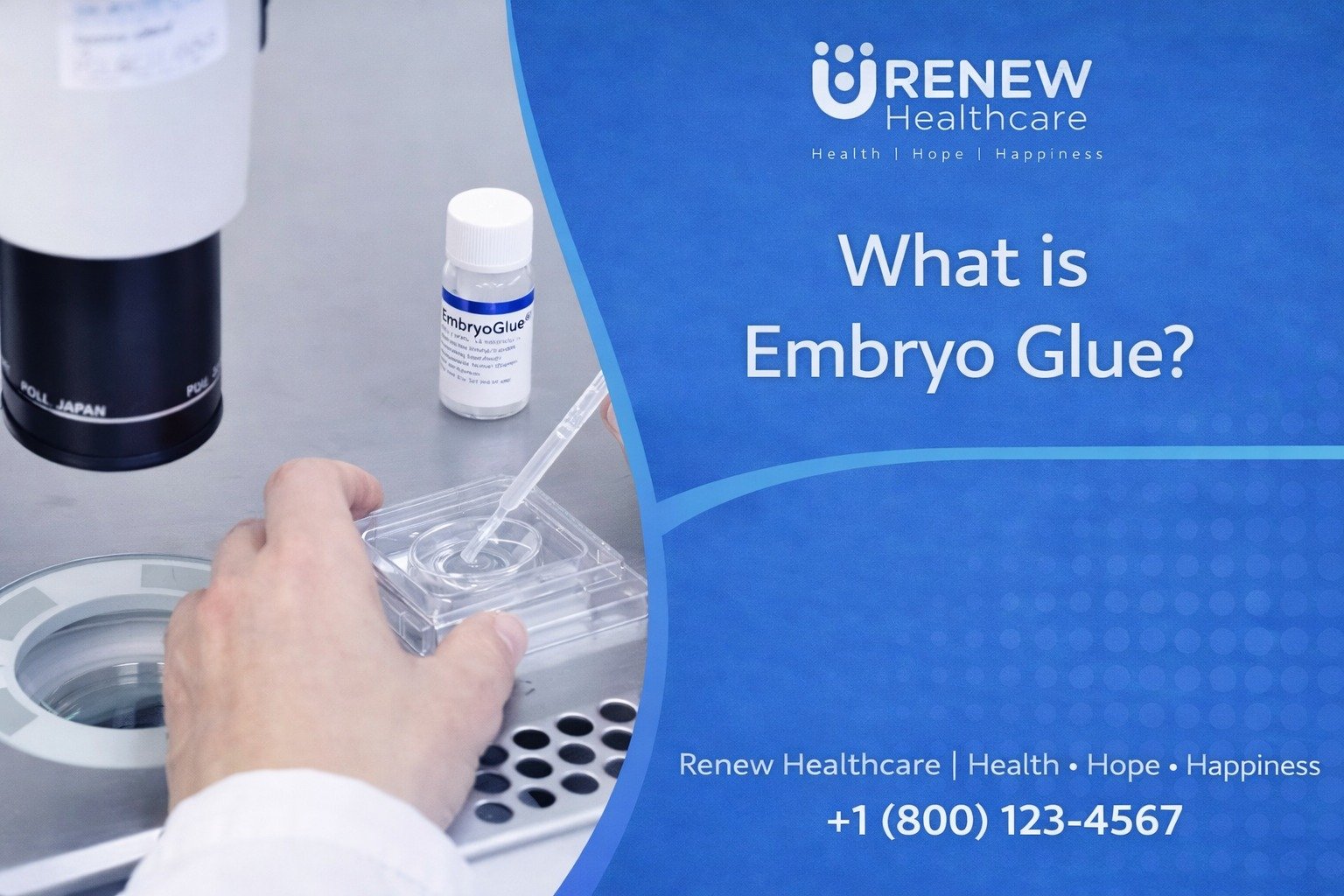 Embryo Glue