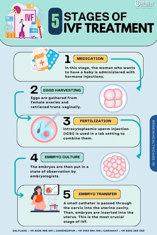 Five Stages of IVF Treatment