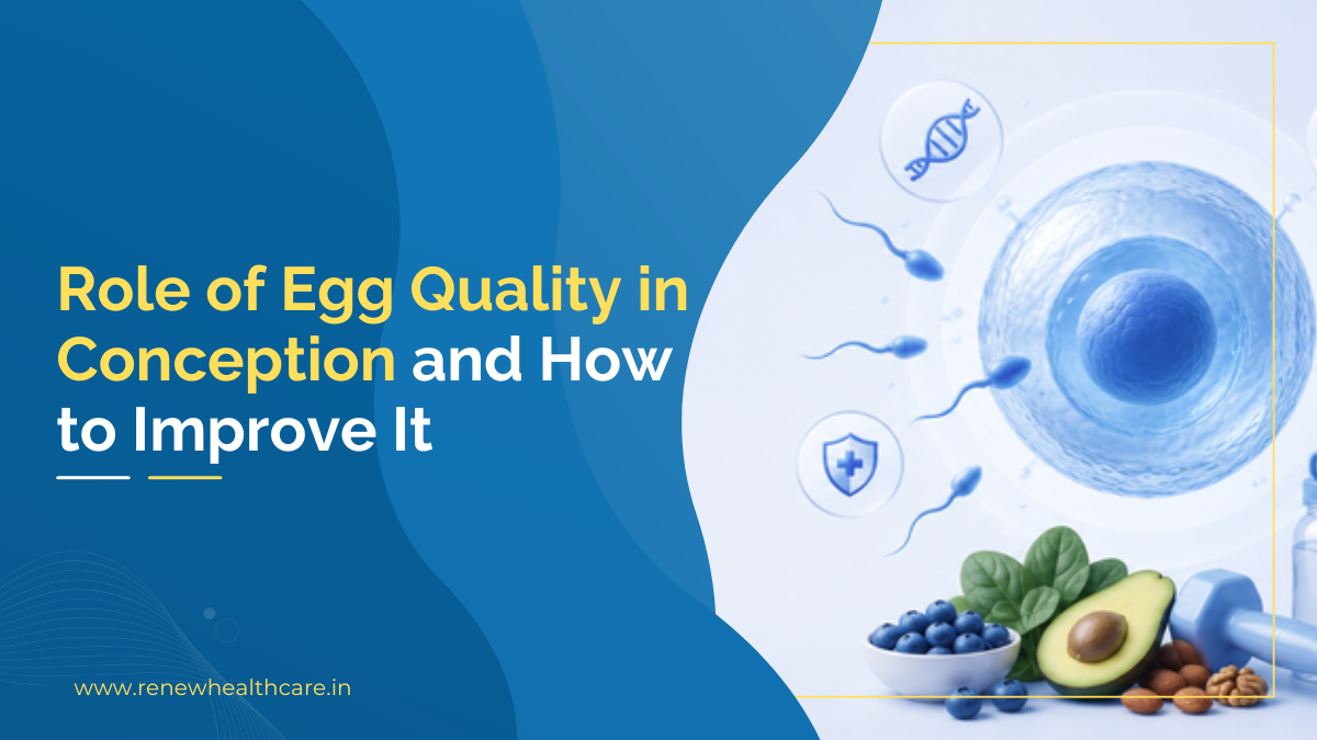 Role of Egg Quality in Conception