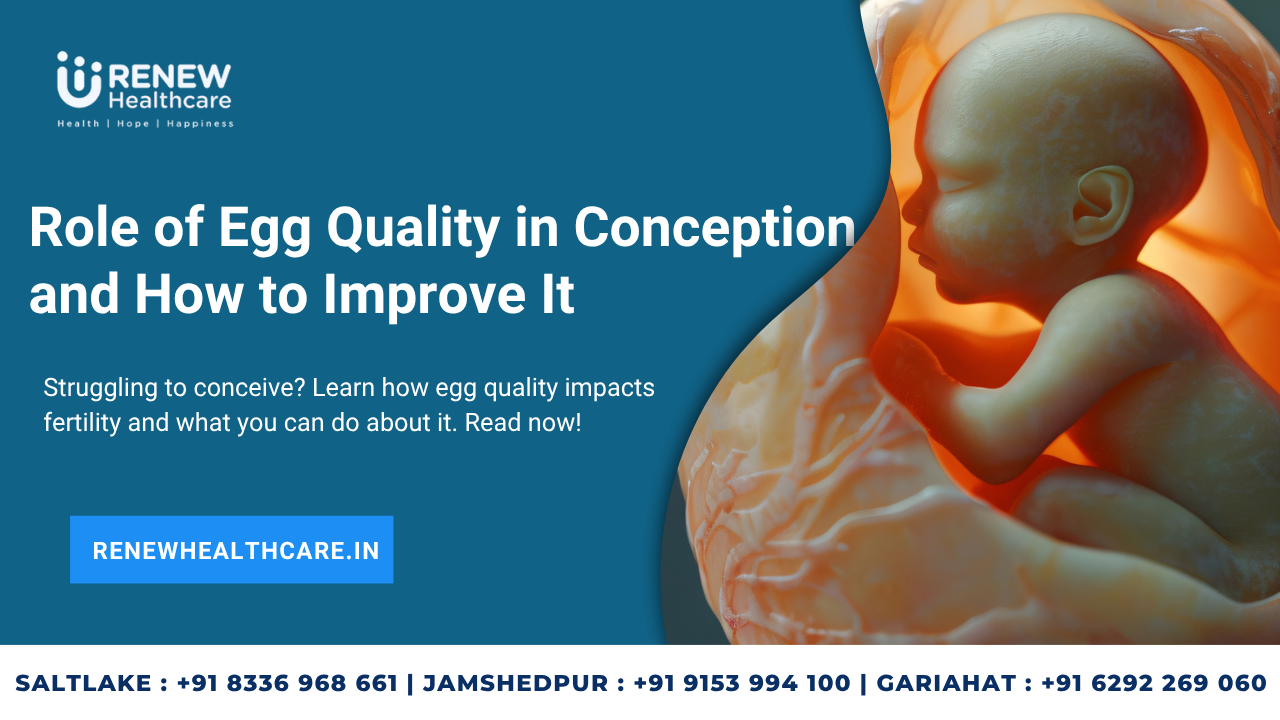 Role of Egg Quality in Conception