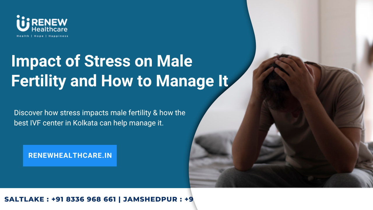 Impact of Stress on Male Fertility and How to Manage It