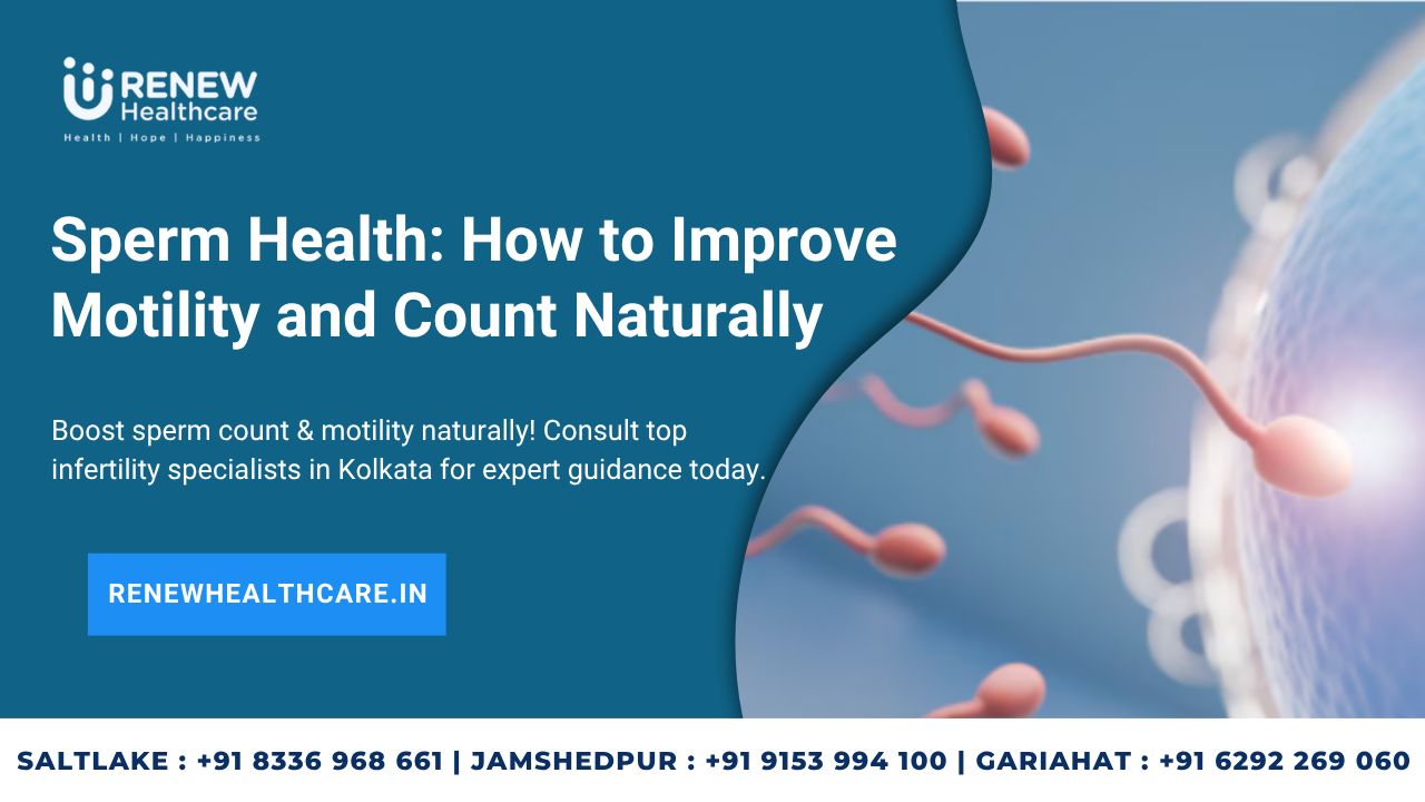Sperm Health: How to Improve Motility and Count Naturally