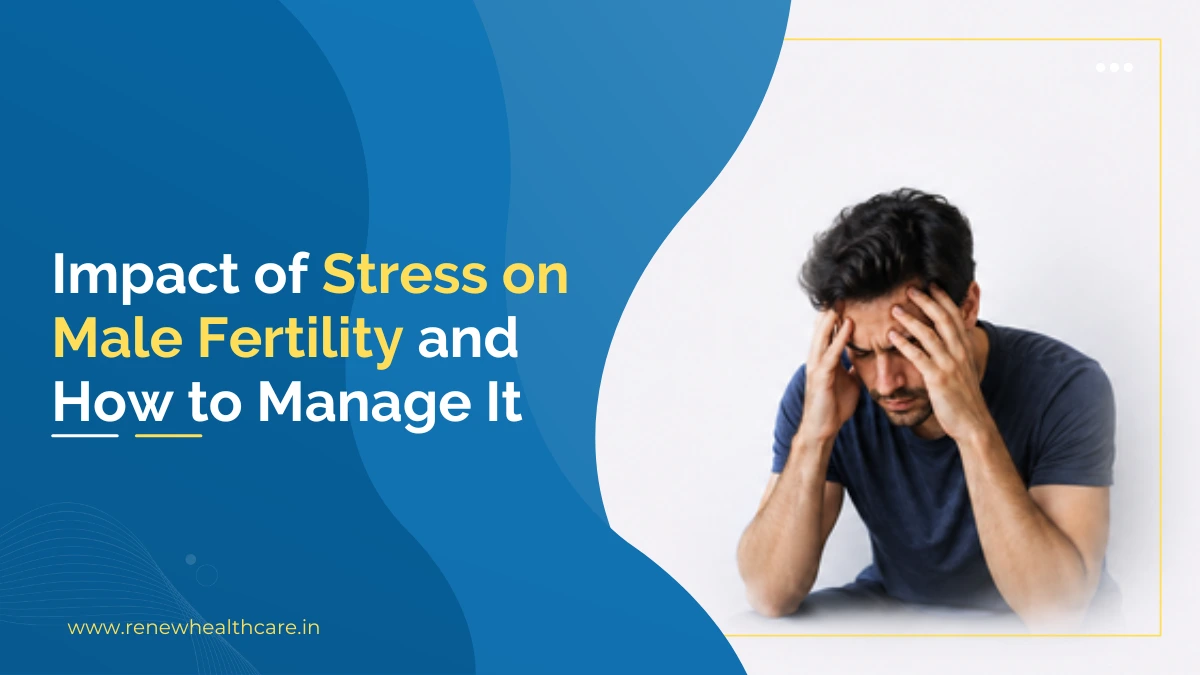 Stress on Male Fertility and How to Manage It