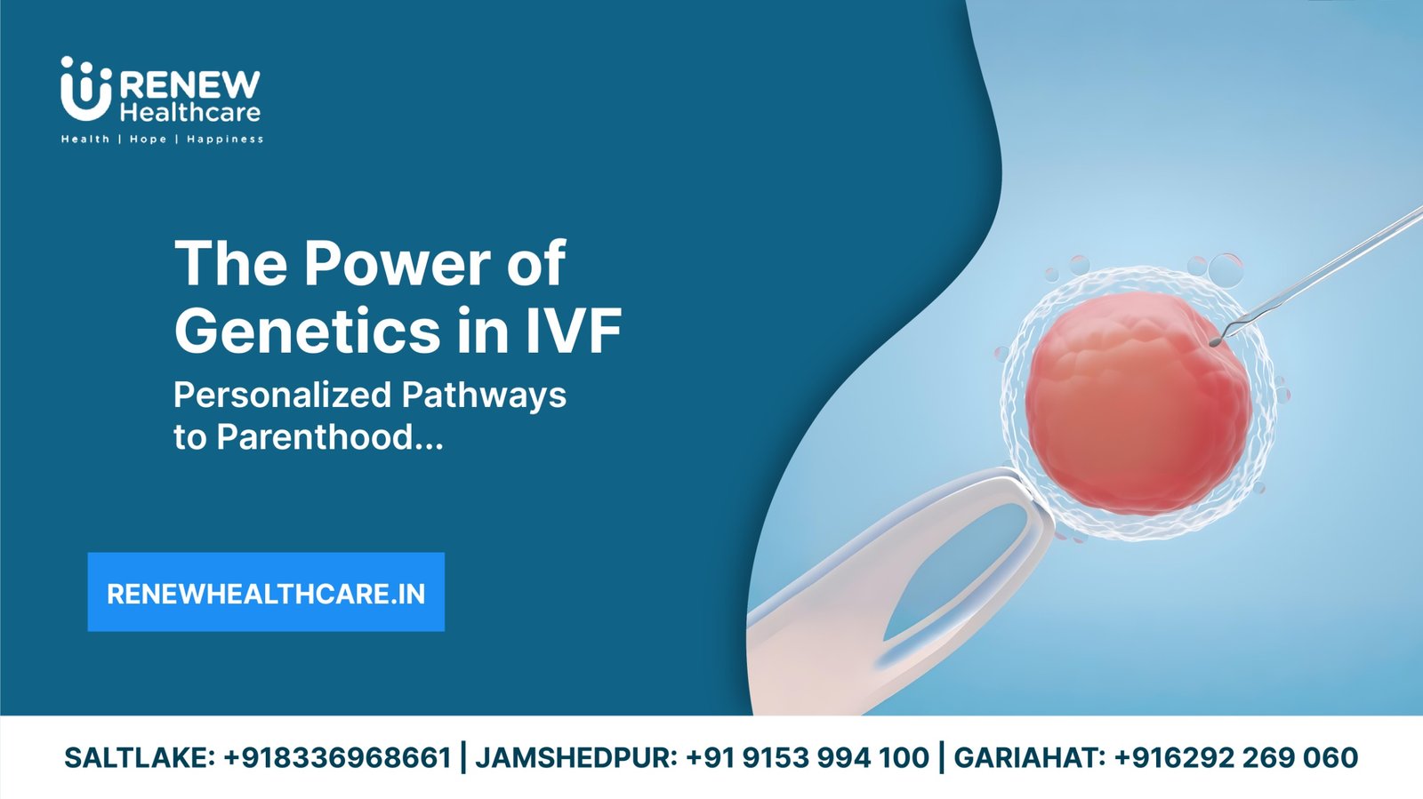 genetic testing in ivf