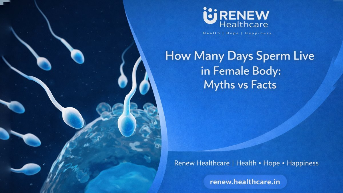 how-many-days-sperm-live-female-body