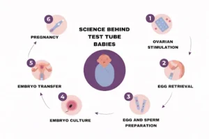 Success Rate of IVF
