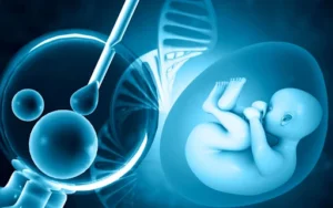 Test Tube Baby Procedure